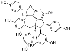 Ampelopsin C 130518-20-6
